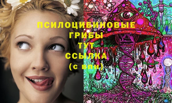 стафф Абдулино